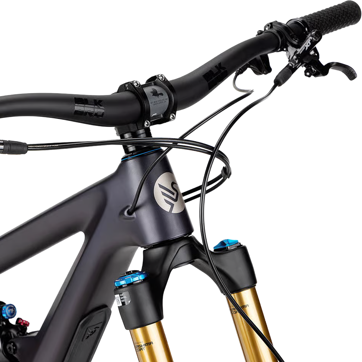 Ripmo V3 XT alternate view