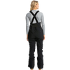 Roxy Women's Gore-Tex Stretch Prism Bib Pant back