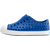 UV Blue/Shell