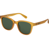 Carve Homeland Polarized front