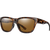 Tortoise/ChromaPop Polarized Brown