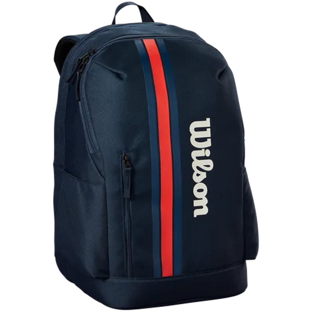 Team Backpack alternate view