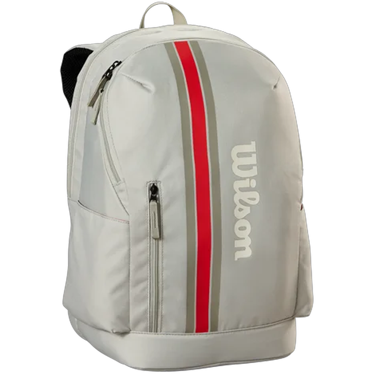 Team Backpack alternate view