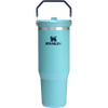 Stanley The IceFlow™ Flip Straw Tumbler 30 OZ in Agave