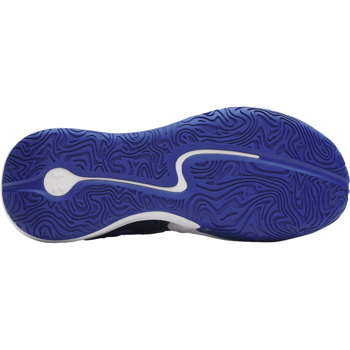 Curry 3Z 25 SDE alternate view