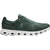 Olive/Evergreen