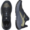 Salomon Women's Genesis Carbon/Grisaille/Aloe Wash pair top and side