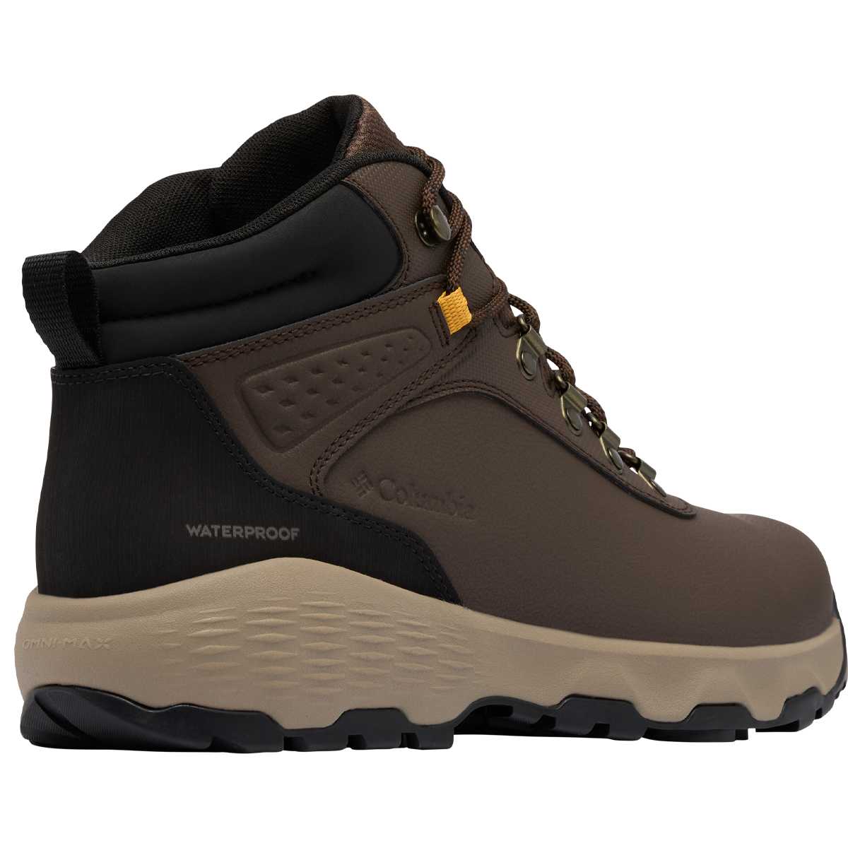 Newton Wander Leather alternate view