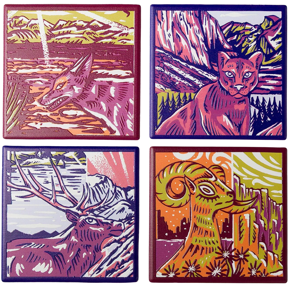 National Park Naturalist Coaster Set alternate view