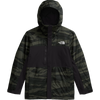 The North Face Freedom Insulated Jacket in New Taupe Green Edge of Light Print/TNF Black