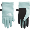 The North Face Youth Recycled Etip™ Gloves in Muted PIne