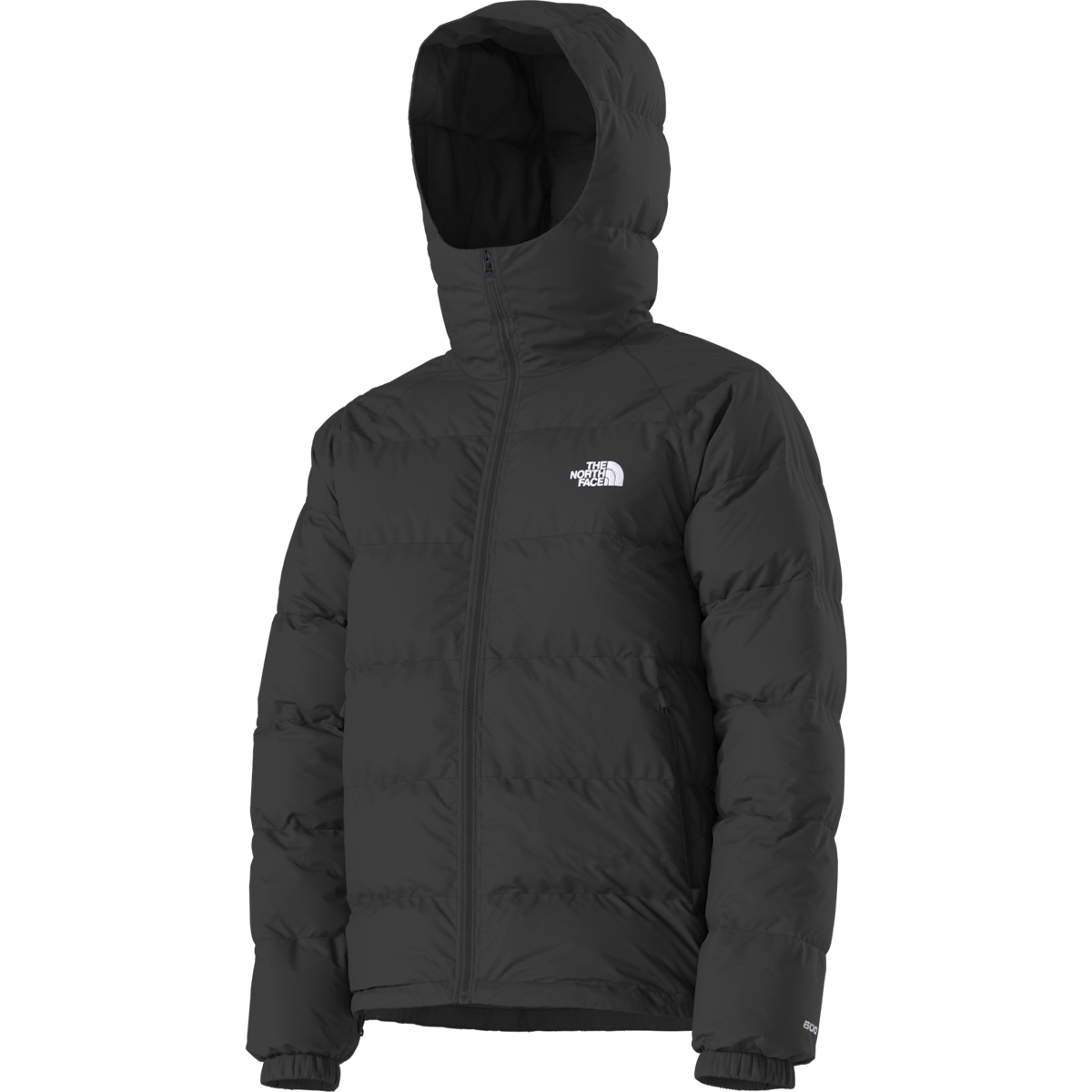 Men's Hydrenalite Down Hoodie alternate view