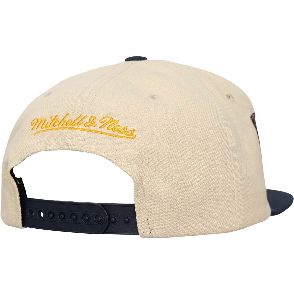 Warriors Across the Board Snapback alternate view