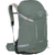 Pine Leaf Green