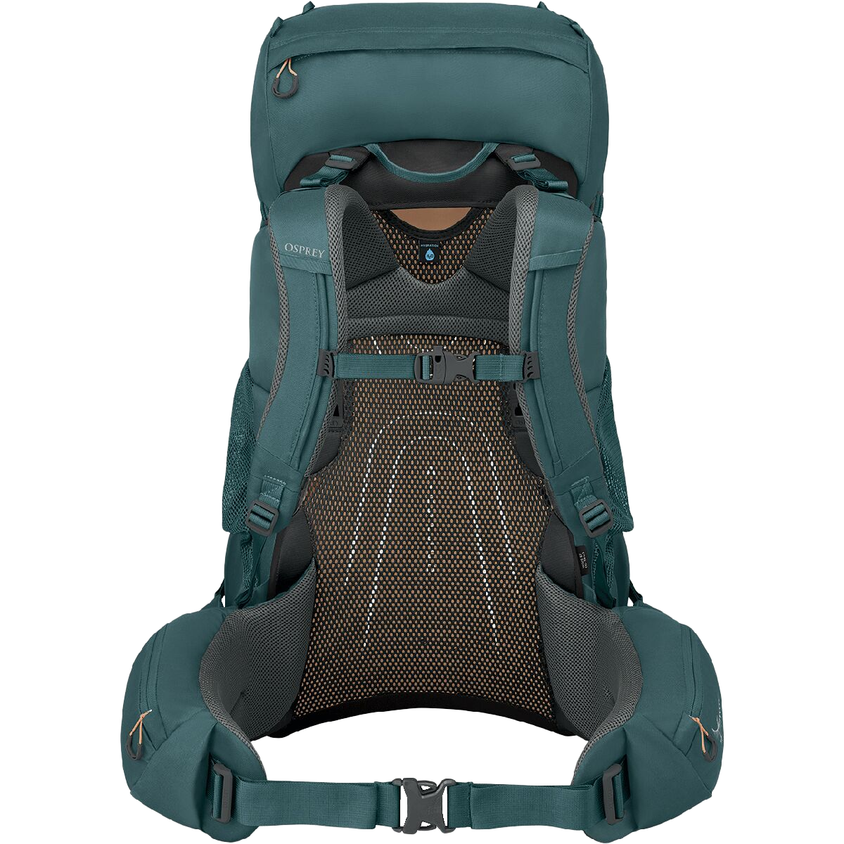 Women's Renn 65L EF alternate view
