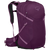 Aubergine Purple