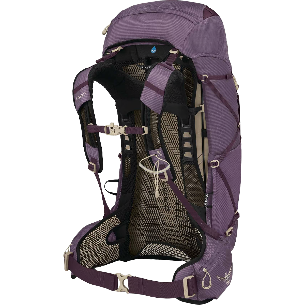 Women's Eja 38 alternate view