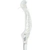 Brine Women's Dynasty 2 Composite Stick Head Side