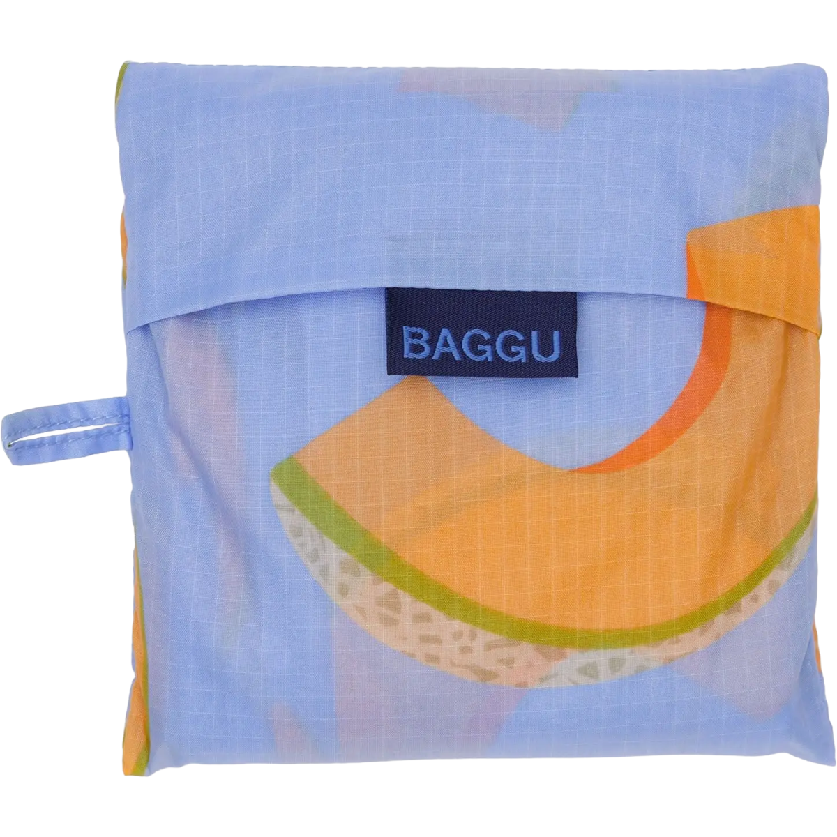 Big Baggu alternate view