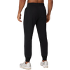 Fabletics The Year Round Terry Jogger Back