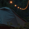 BioLite Solar String 44’ Color Hang at camp