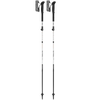 Leki Skytera FX Carbon SL