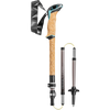 Leki Cressida FX Carbon collapsed