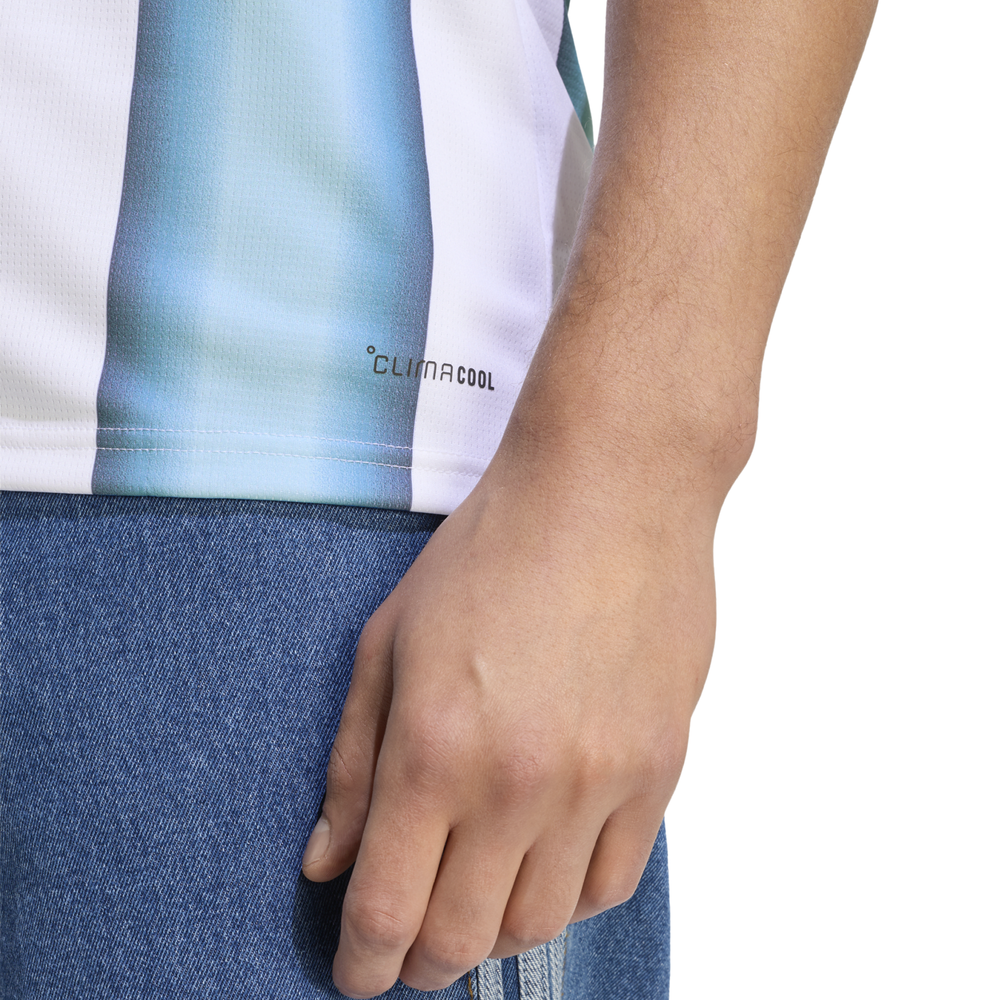 Men's Argentina AFA Home Replica Jersey alternate view