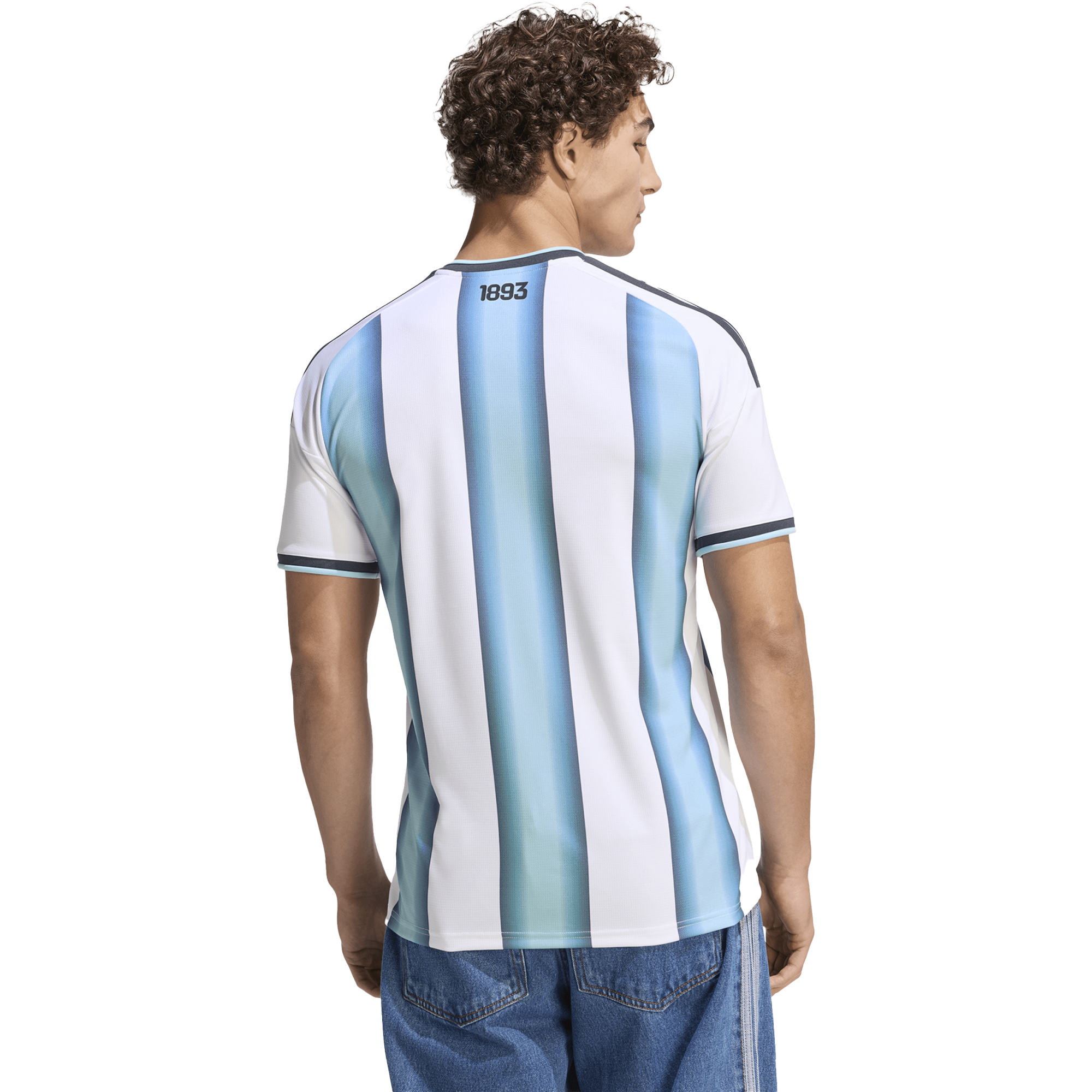 Men's Argentina AFA Home Replica Jersey alternate view