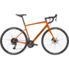Cannondale Synapse 2 in Tiger Eye
