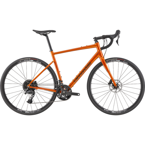Synapse 2