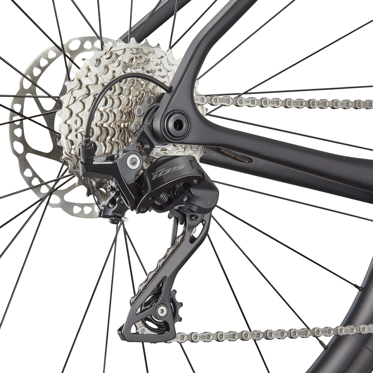 Synapse Carbon 5 alternate view