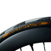 Continental Archetype 700 x 30 Tubeless archetype logo