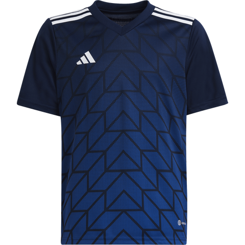 Youth Icon 23 Jersey