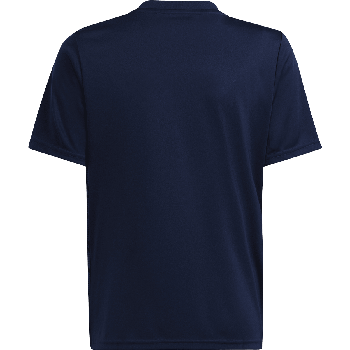 Youth Icon 23 Jersey alternate view