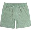 Jetty Men's Bayside Poolshort in SAG Sage Green