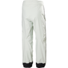 Helly Hansen Men's Ullr D Pant 2.0 back