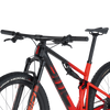 BMC Fourstroke 01 TWO seat and fork