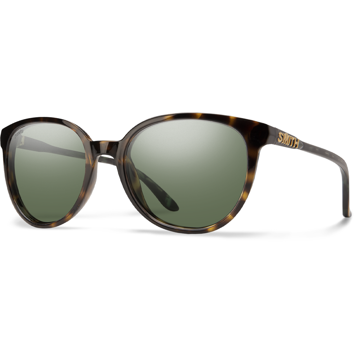 Cheetah alternate view