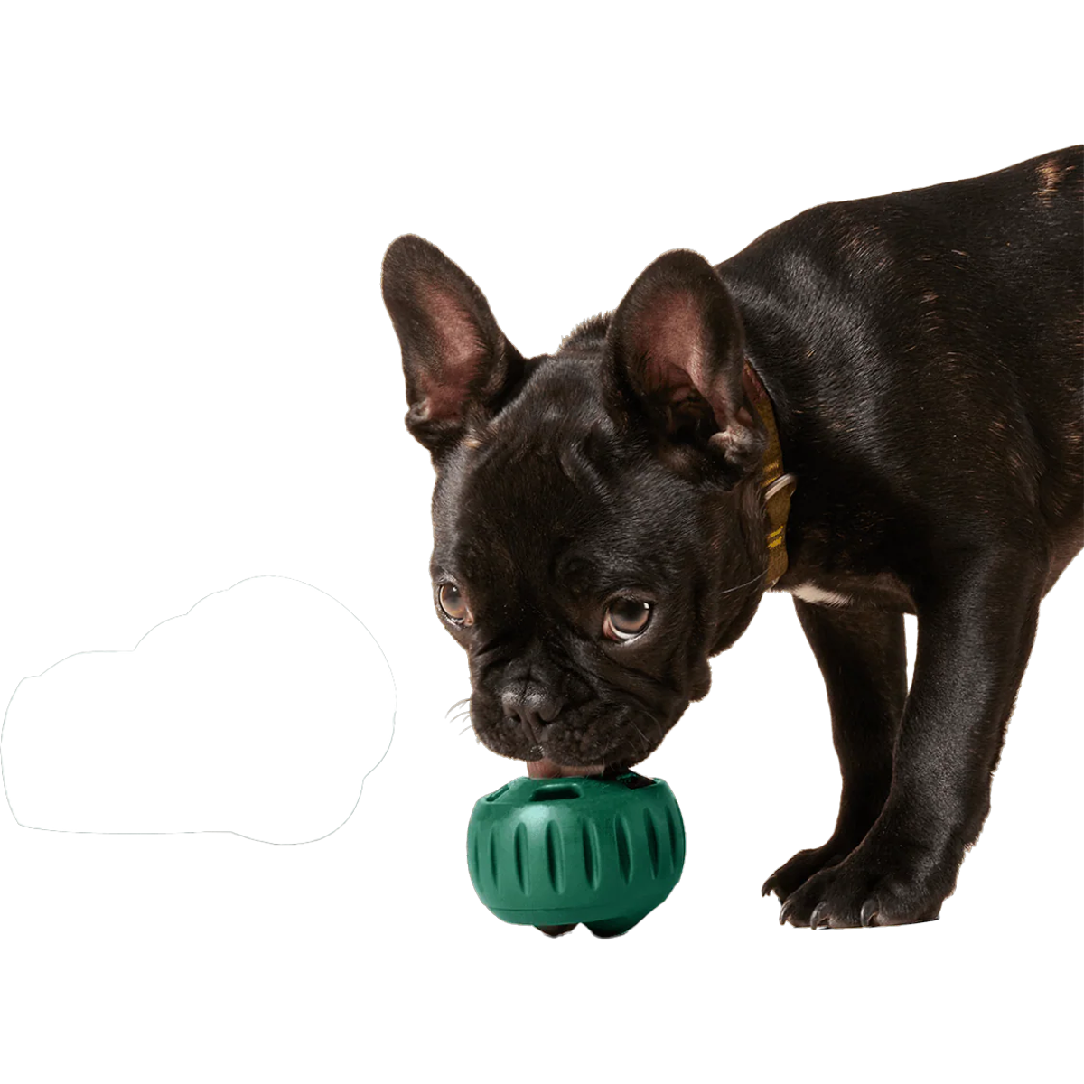 Pupsicle Pops alternate view