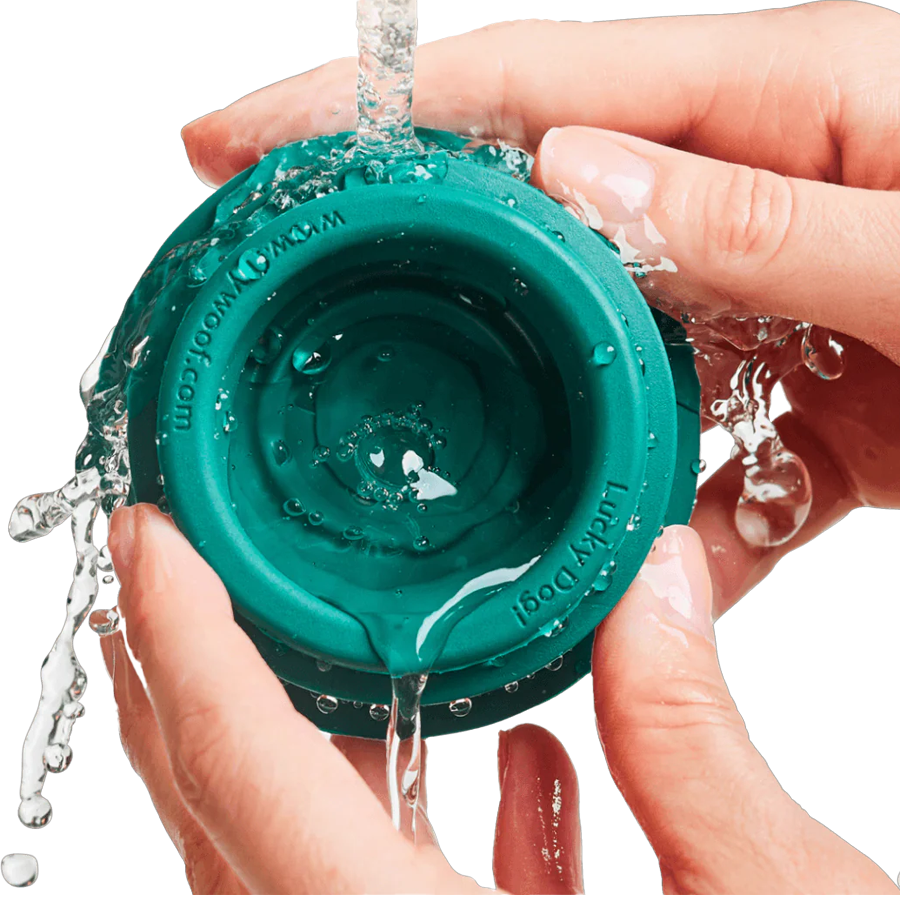 The Pupsicle alternate view