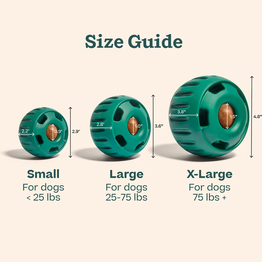 The Pupsicle alternate view