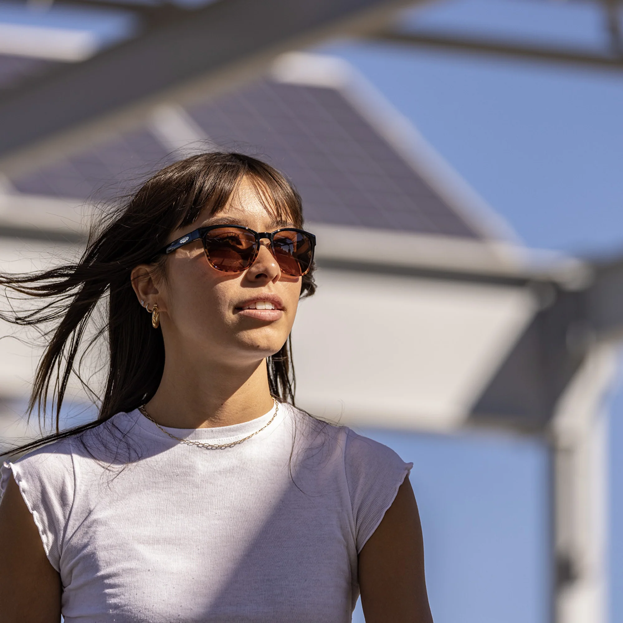 Loveseat - Black Tortoise Fade alternate view