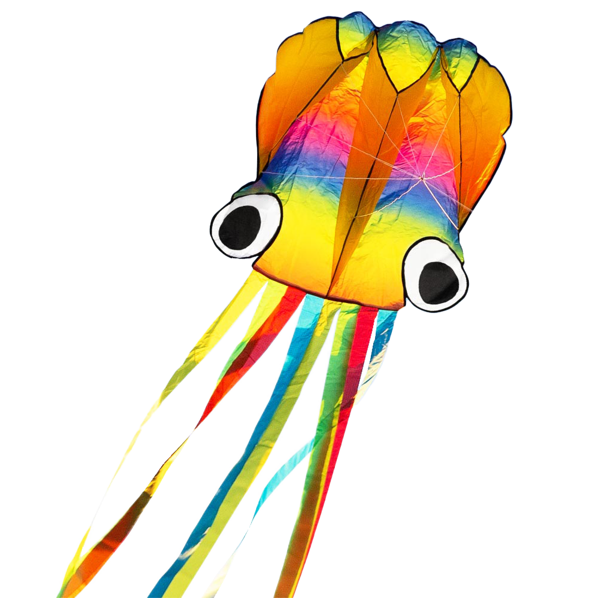 Rainbow Octopus alternate view