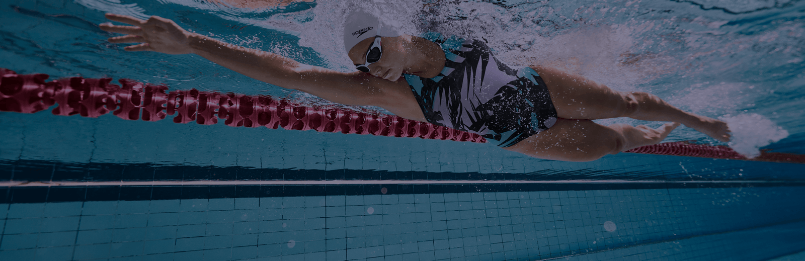 Sports shop near me swimming 2025