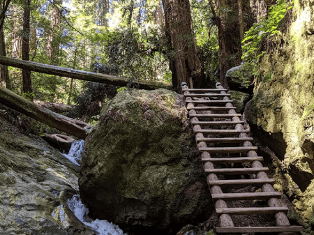 Our Favorite Bay Area Hikes