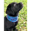Buff Dog Neckwear