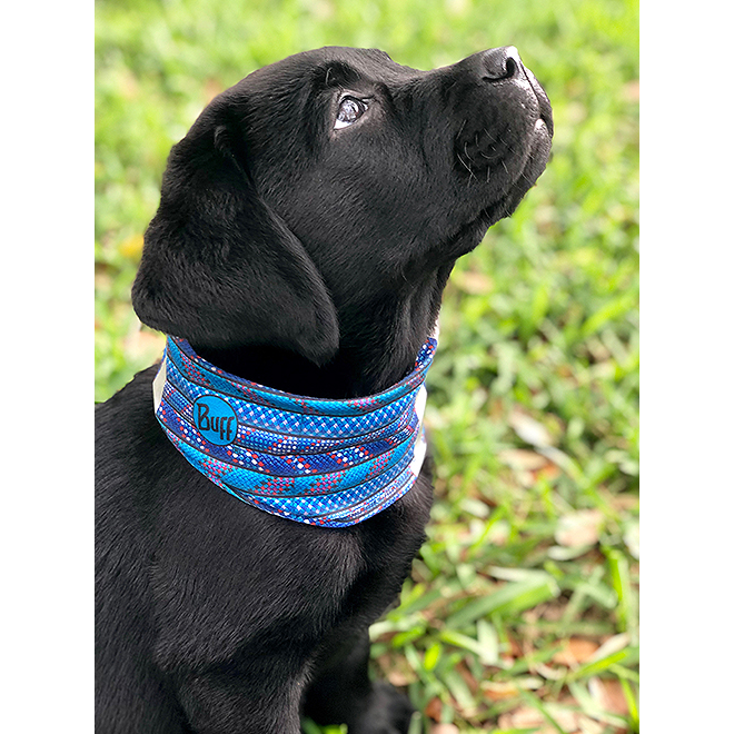 Dog Neckwear alternate view