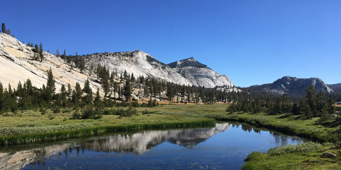 Backpacking Yosemite: Vogelsang
