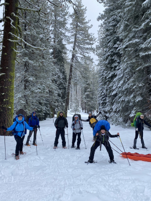 SNOWSHOEING